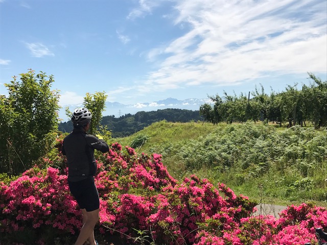 f:id:yamanouta:20170609085935j:image f:id:yamanouta:20170609085935j:image