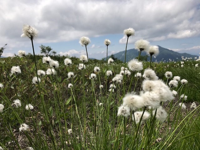 f:id:yamanouta:20170721110800j:image f:id:yamanouta:20170721110800j:image
