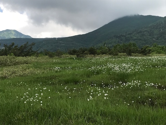 f:id:yamanouta:20170721111820j:image f:id:yamanouta:20170721111820j:image