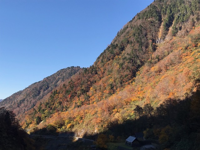 f:id:yamanouta:20171103131747j:image