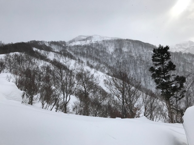 f:id:yamanouta:20180204092611j:image f:id:yamanouta:20180204092611j:image
