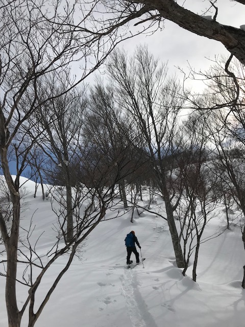 f:id:yamanouta:20180204095319j:image f:id:yamanouta:20180204095319j:image