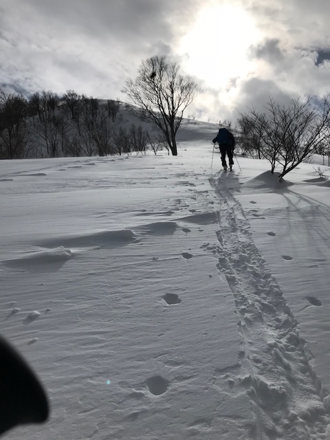 f:id:yamanouta:20180204100505j:image f:id:yamanouta:20180204100505j:image