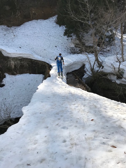 f:id:yamanouta:20180404084130j:image