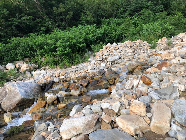 f:id:yamanouta:20180723060216j:image f:id:yamanouta:20180723060216j:image
