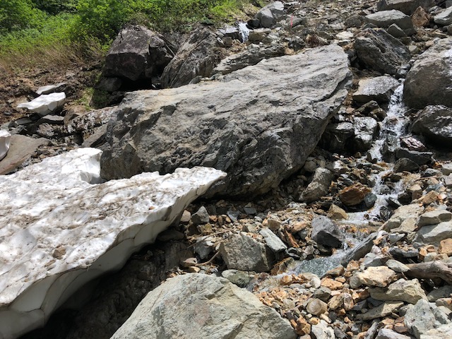 f:id:yamanouta:20180723121657j:image f:id:yamanouta:20180723121657j:image