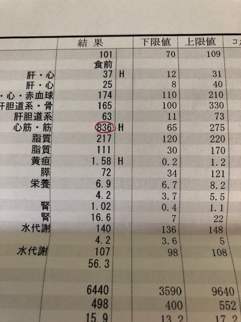f:id:yamanouta:20190111110339j:image