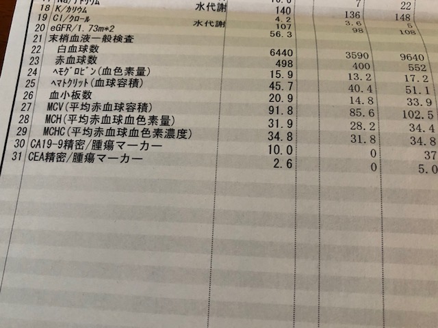 f:id:yamanouta:20190111110429j:image