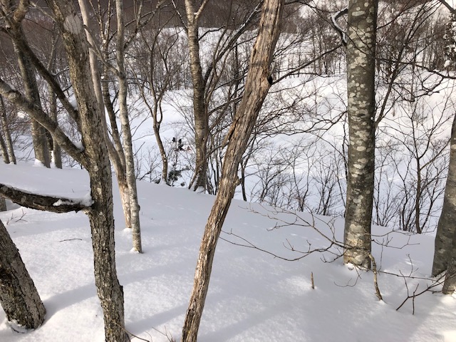 f:id:yamanouta:20190114093402j:image