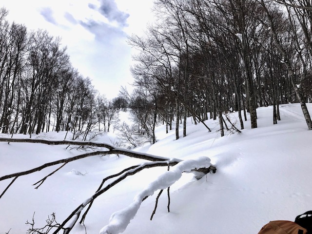 f:id:yamanouta:20190114095704j:image