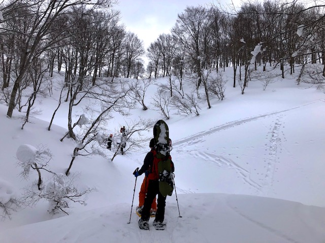 f:id:yamanouta:20190114100712j:image