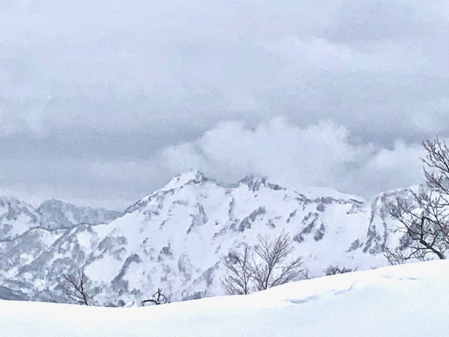 f:id:yamanouta:20190114102939j:image