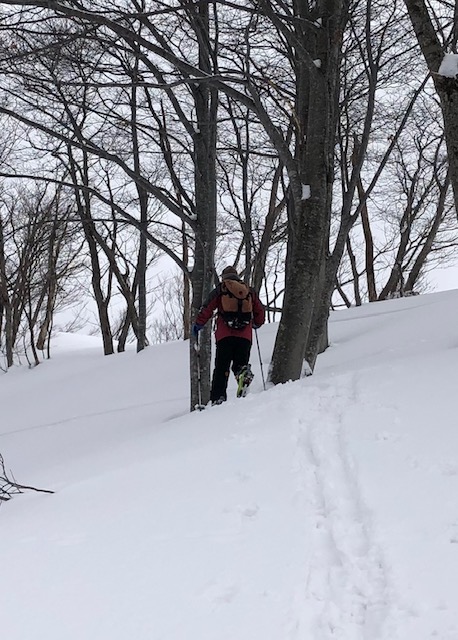 f:id:yamanouta:20190114111920j:image
