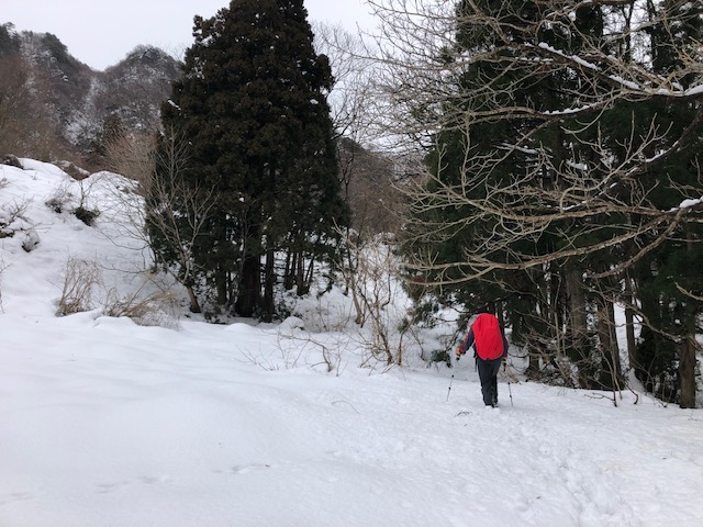 f:id:yamanouta:20190120092403j:image