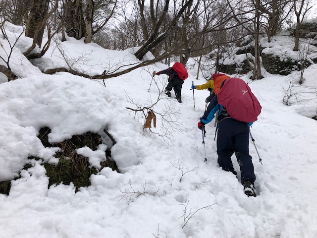 f:id:yamanouta:20190120100238j:image