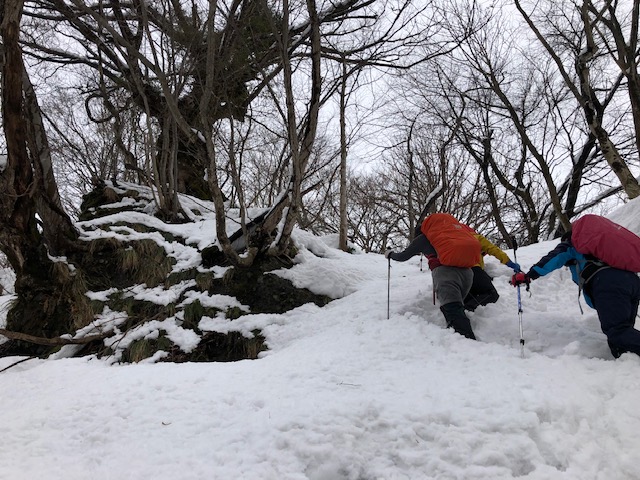f:id:yamanouta:20190120100706j:image
