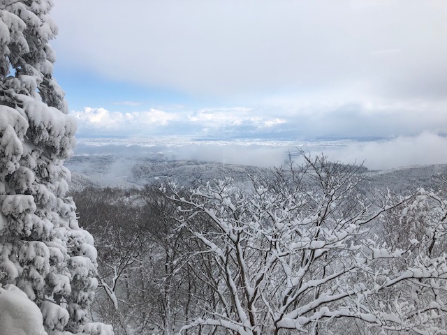 f:id:yamanouta:20190126101411j:image