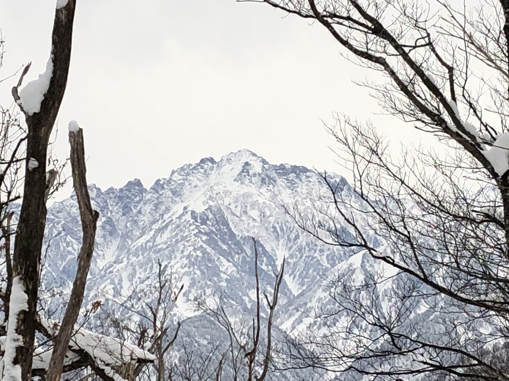 f:id:yamanouta:20190215160834j:plain