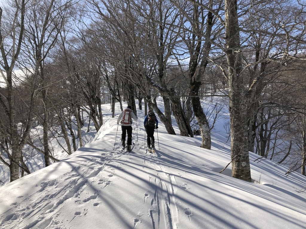 f:id:yamanouta:20190224190953j:plain