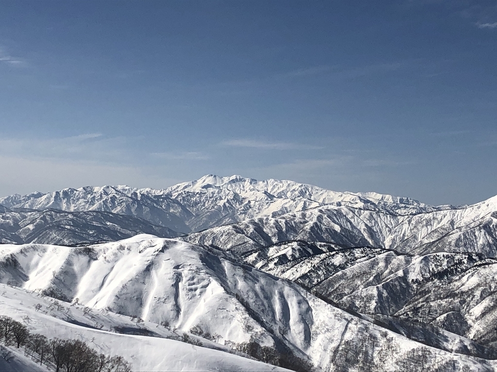 f:id:yamanouta:20190224191614j:plain