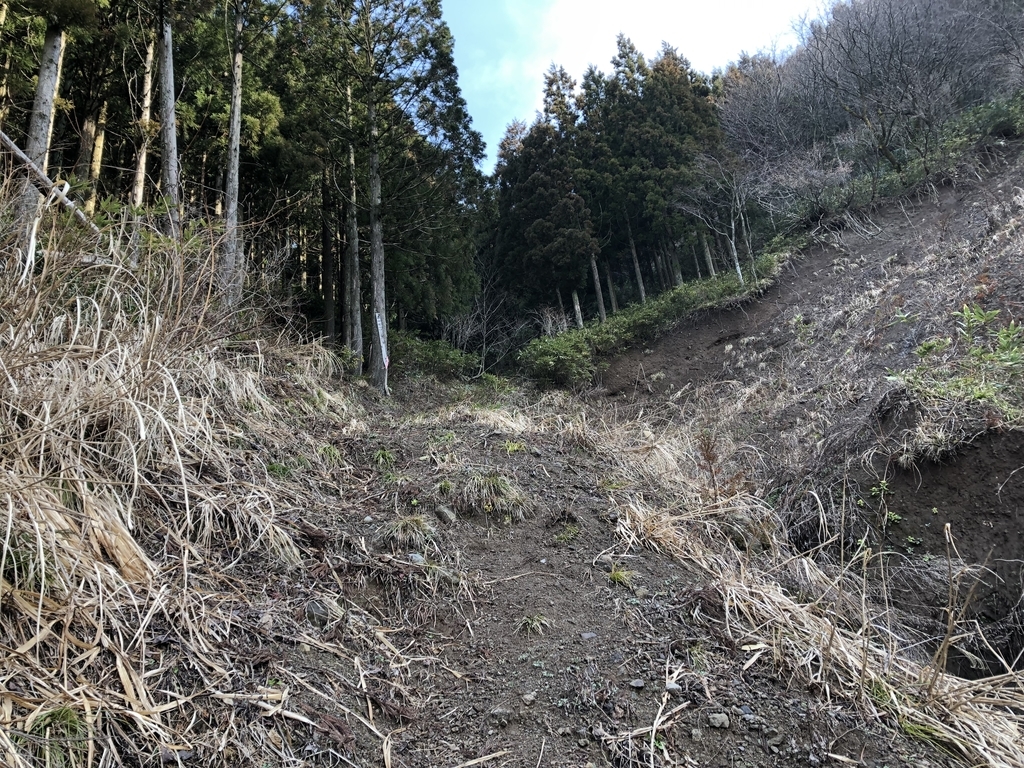 f:id:yamanouta:20190312170732j:plain