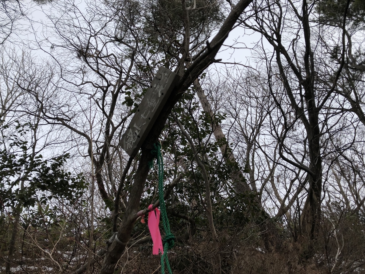 f:id:yamanouta:20190317182744j:plain