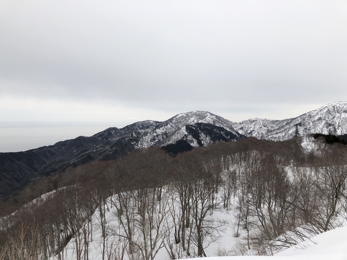 f:id:yamanouta:20190317183056j:plain