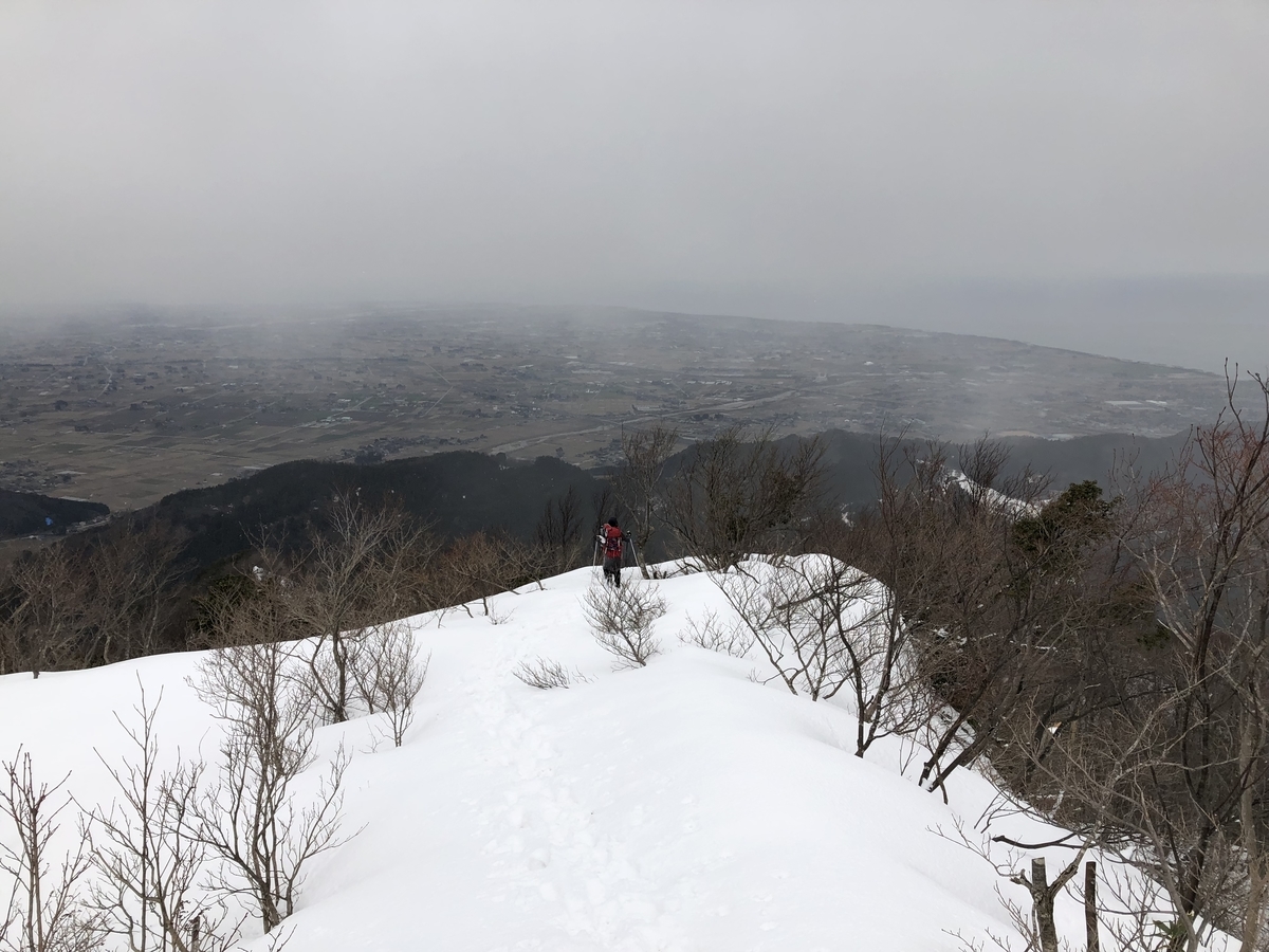 f:id:yamanouta:20190317183358j:plain