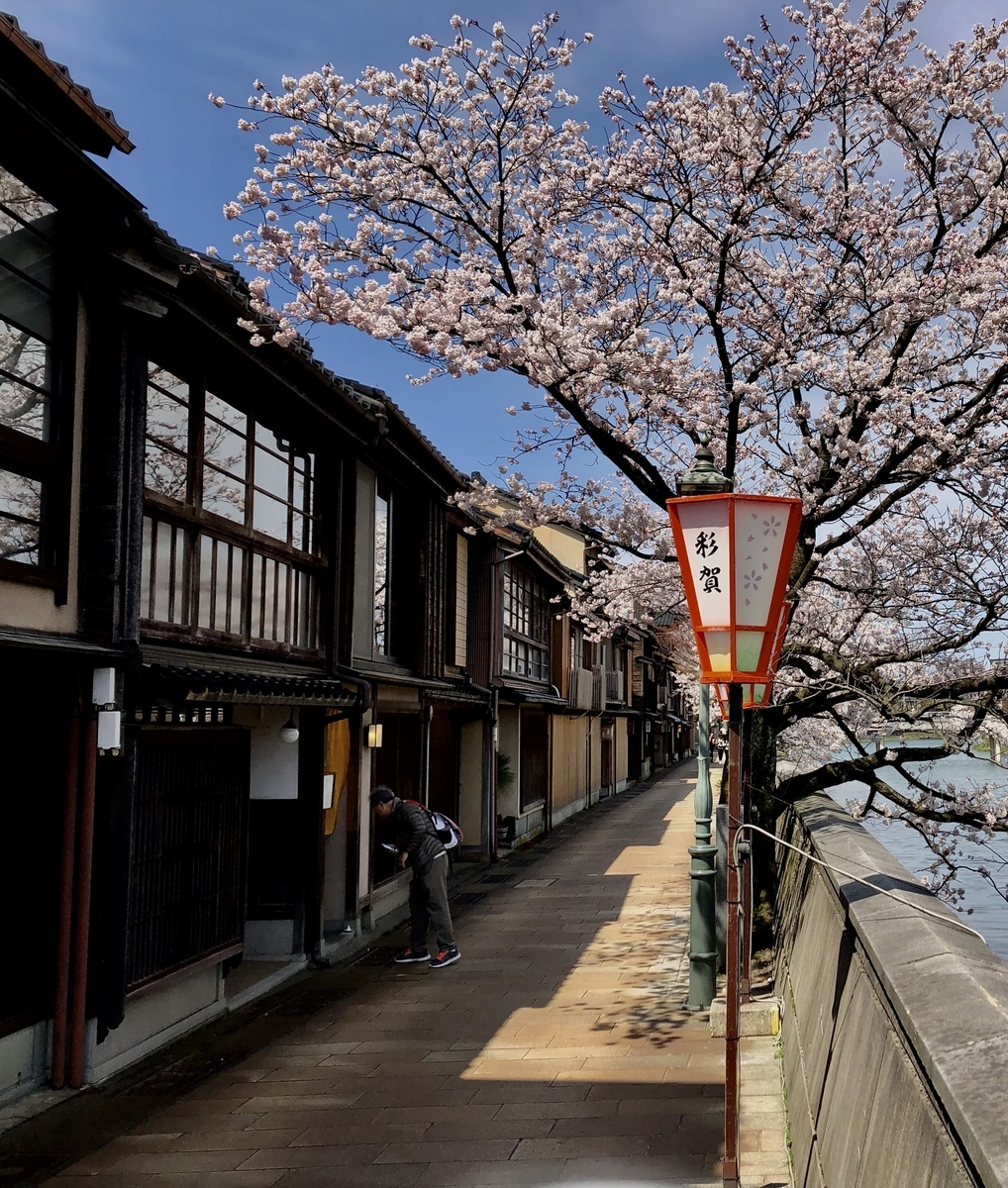 f:id:yamanouta:20190408113233j:plain f:id:yamanouta:20190408113233j:plain