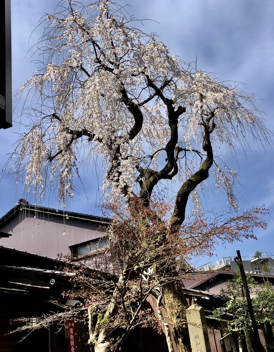 f:id:yamanouta:20190408113712j:plain f:id:yamanouta:20190408113712j:plain