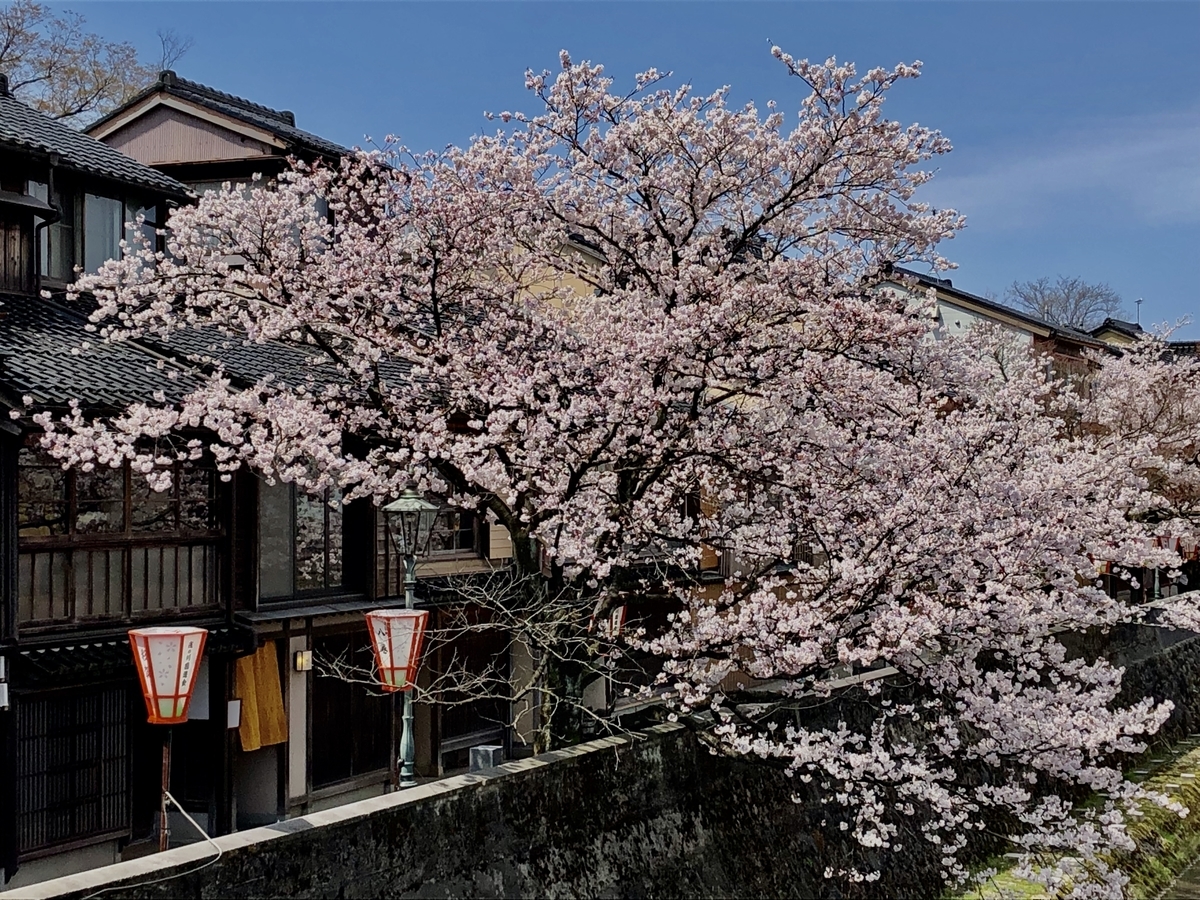 f:id:yamanouta:20190408113854j:plain f:id:yamanouta:20190408113854j:plain