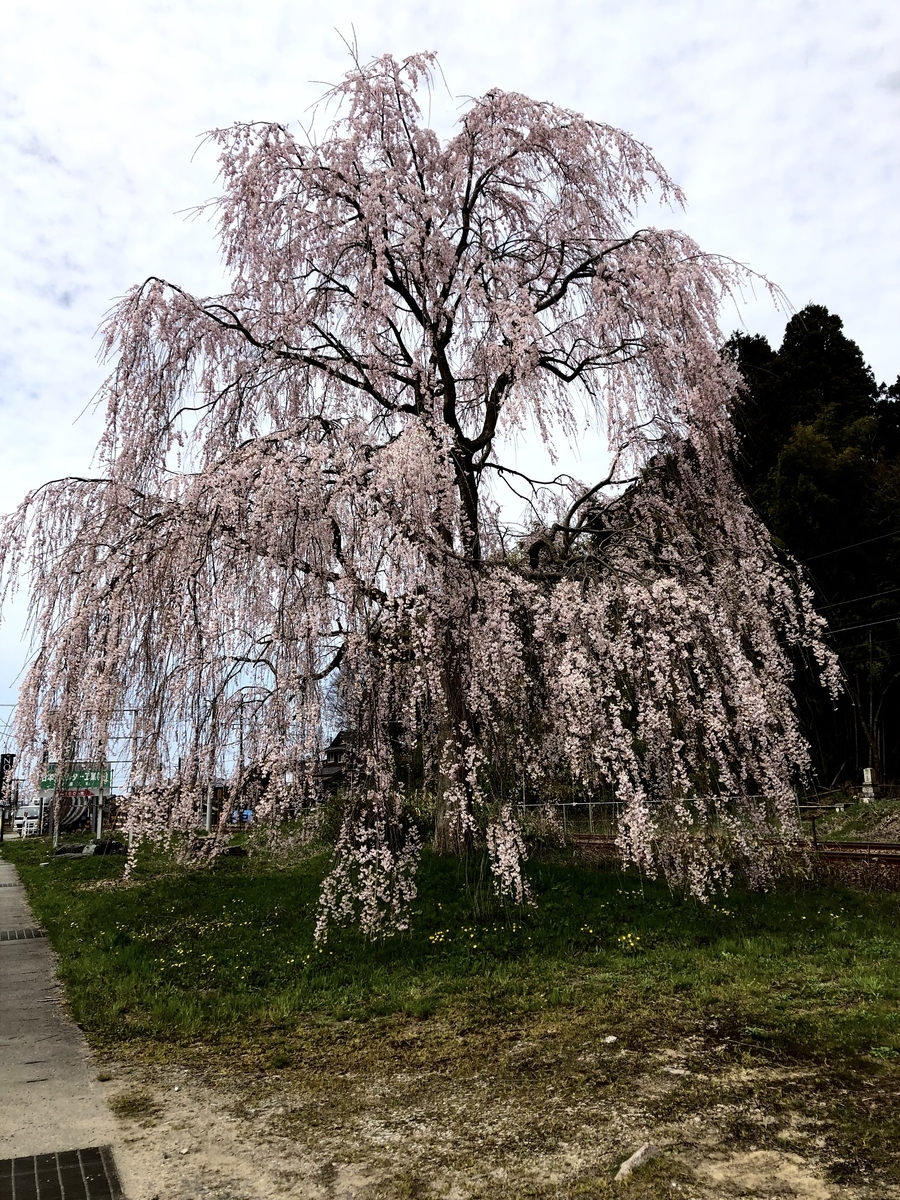 f:id:yamanouta:20190408123322j:plain f:id:yamanouta:20190408123322j:plain
