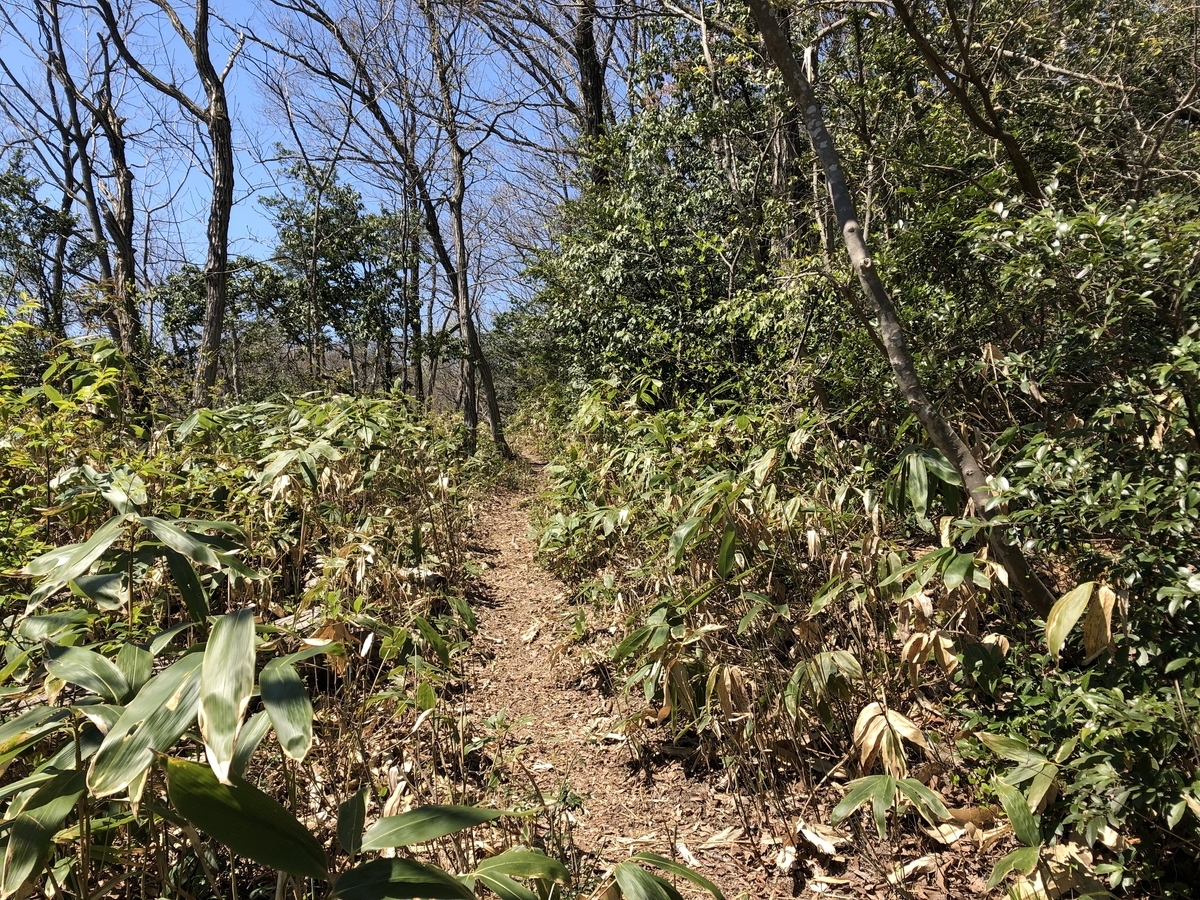 f:id:yamanouta:20190416130019j:plain f:id:yamanouta:20190416130019j:plain