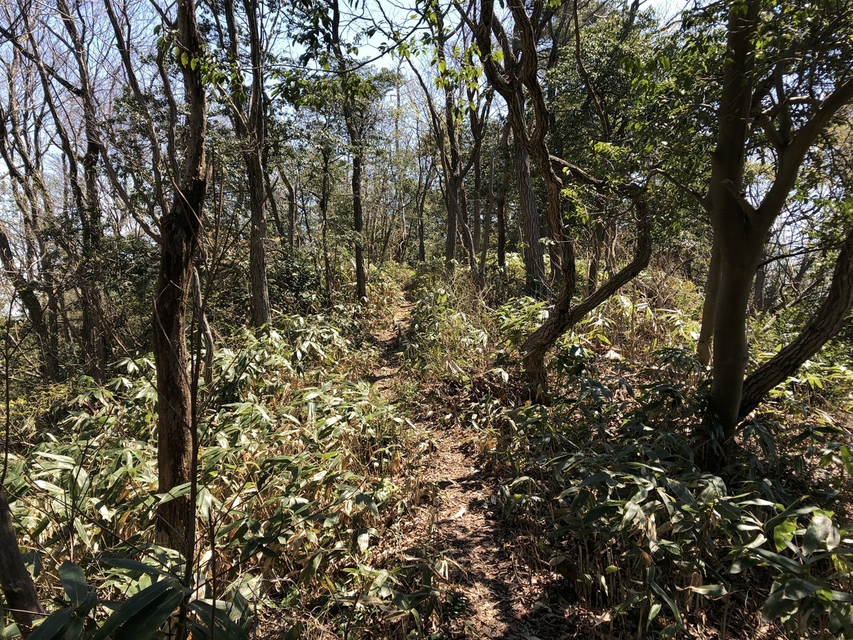 f:id:yamanouta:20190416130052j:plain f:id:yamanouta:20190416130052j:plain