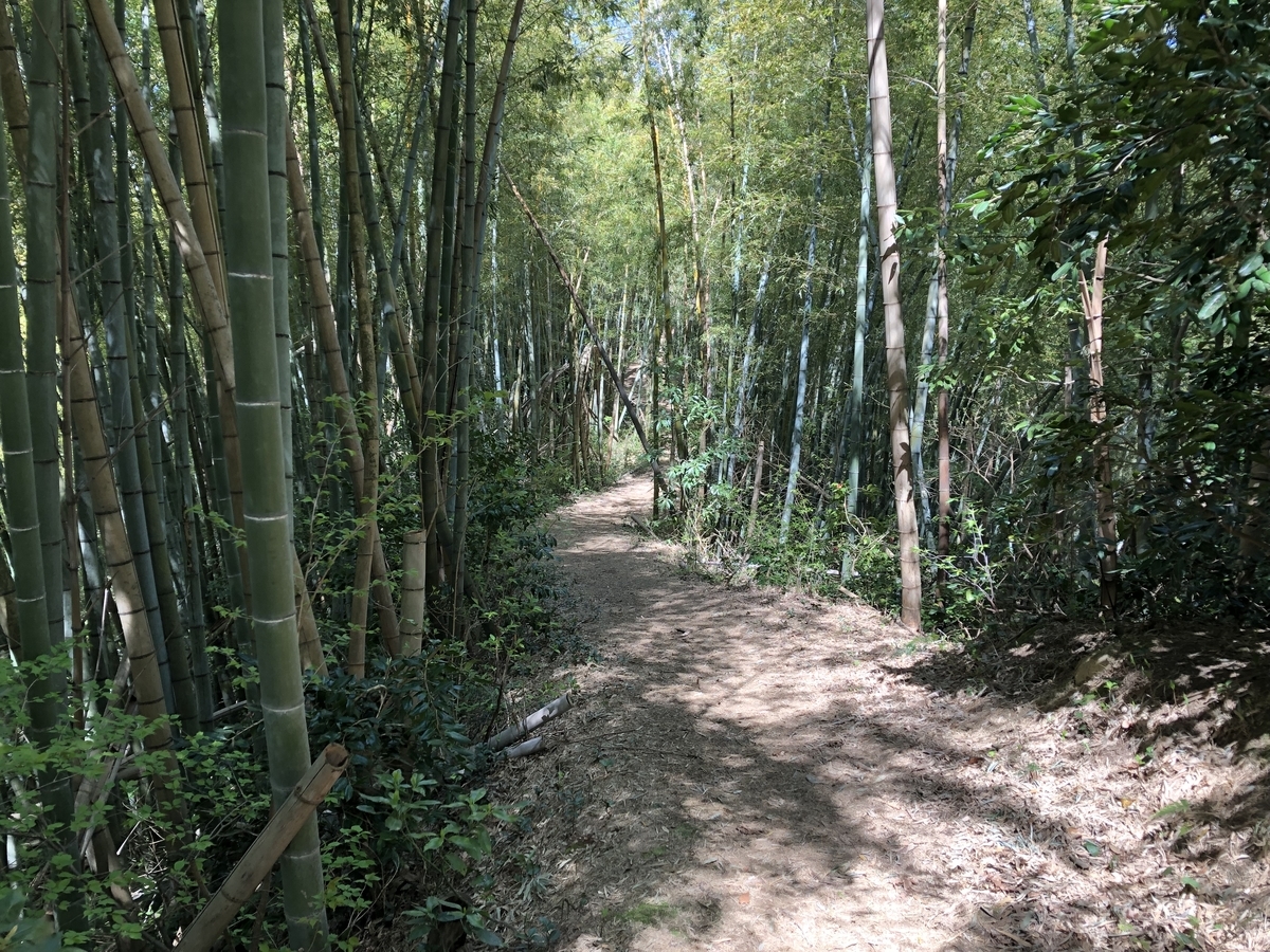 f:id:yamanouta:20190418134632j:plain f:id:yamanouta:20190418134632j:plain