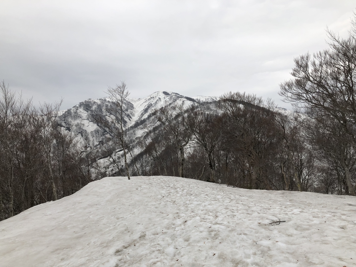 f:id:yamanouta:20190421181321j:plain