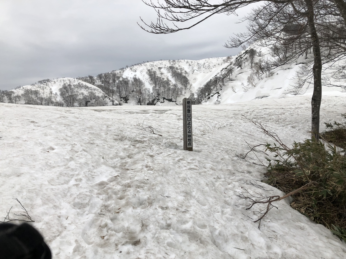 f:id:yamanouta:20190421181705j:plain