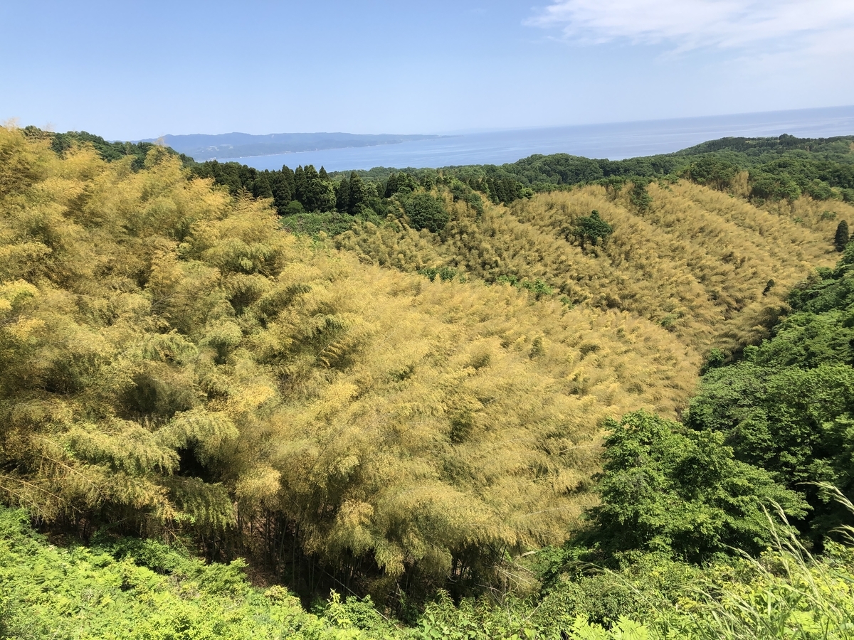 f:id:yamanouta:20190522104026j:plain