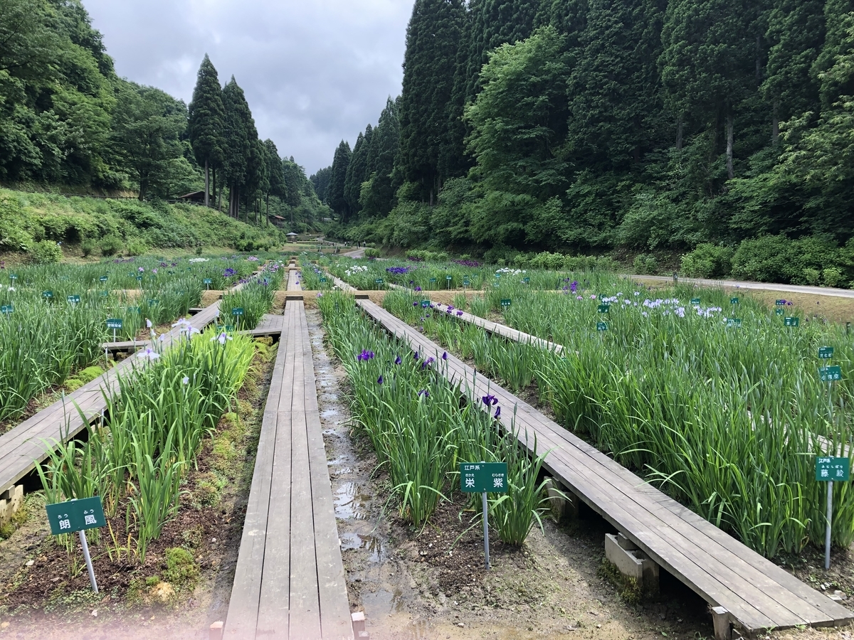 f:id:yamanouta:20190609193703j:plain