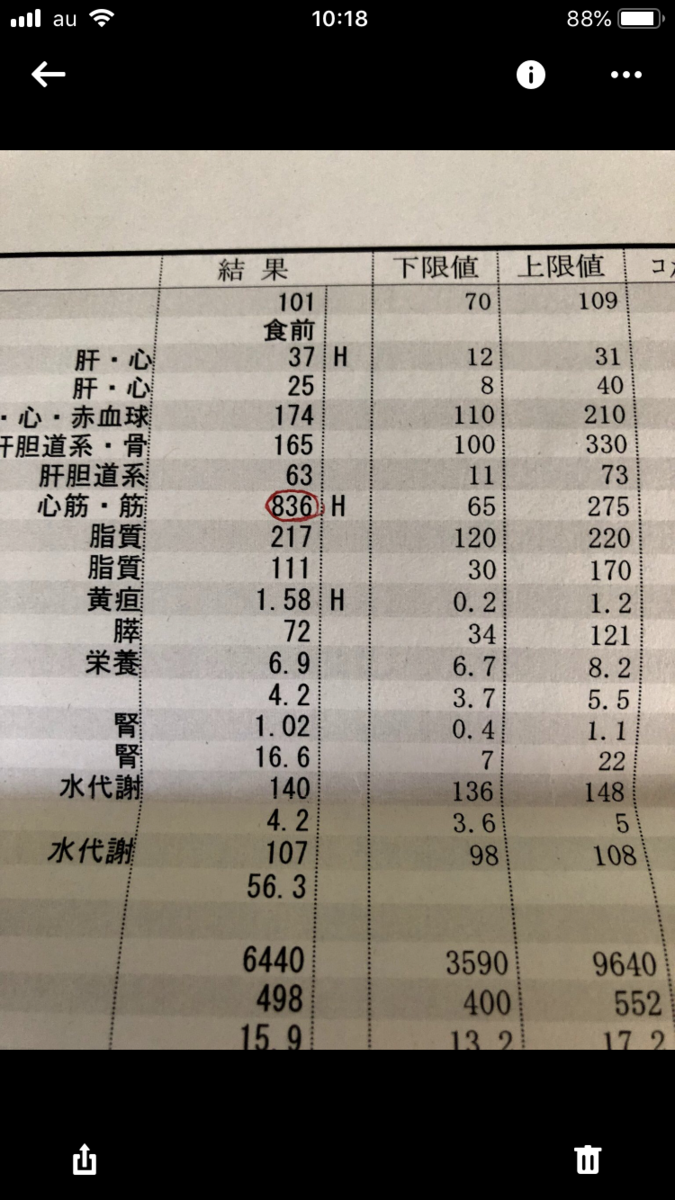 f:id:yamanouta:20190705103124p:plain