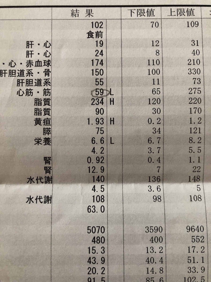 f:id:yamanouta:20190705103149j:plain