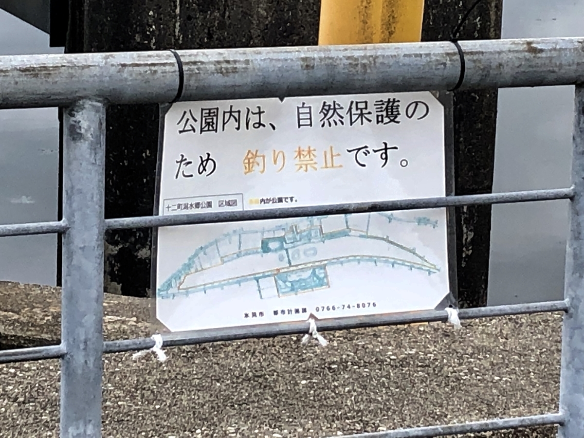 f:id:yamanouta:20190708095707j:plain