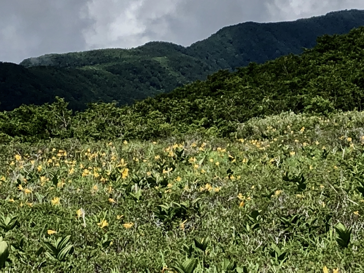 f:id:yamanouta:20190712115115j:plain