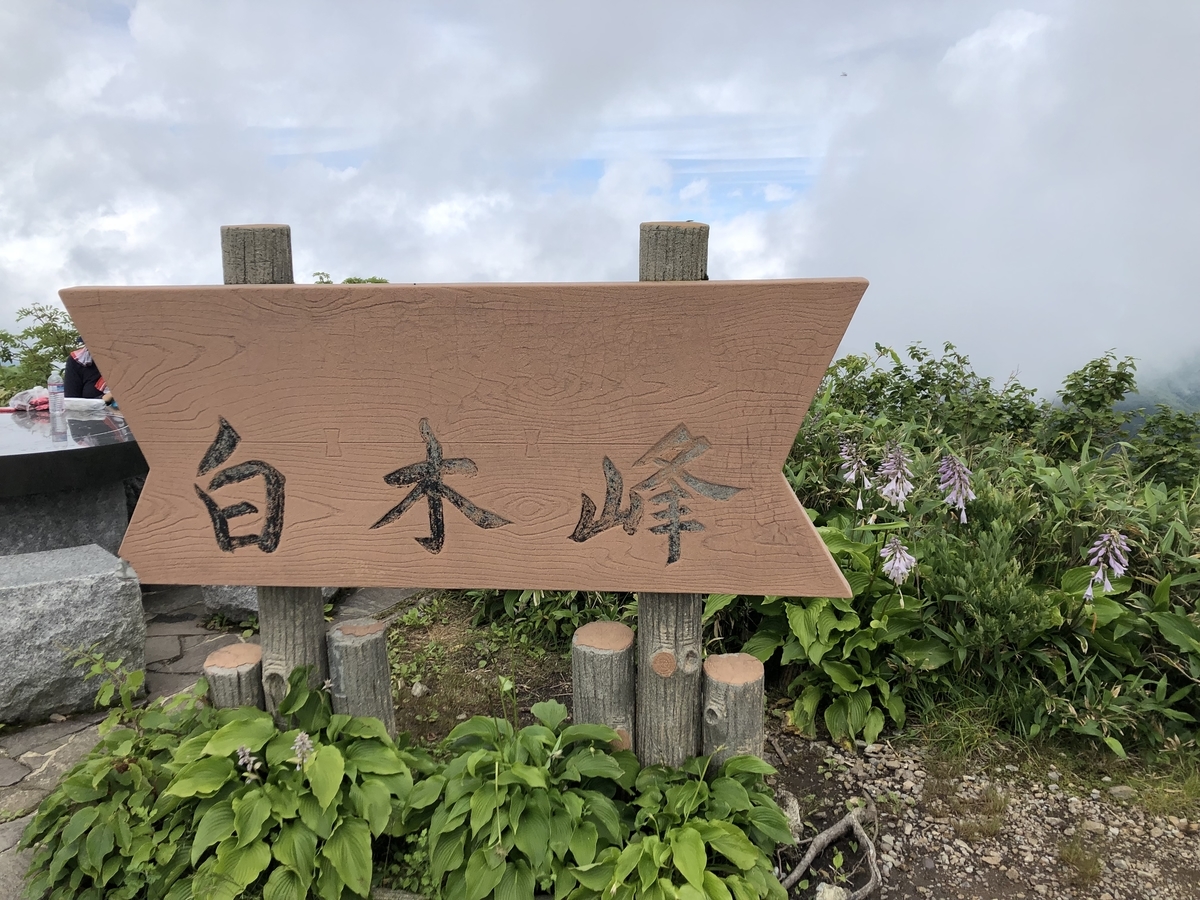 f:id:yamanouta:20190712194024j:plain