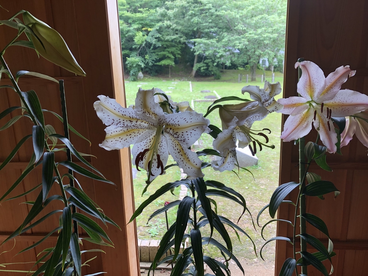 f:id:yamanouta:20190717144704j:plain