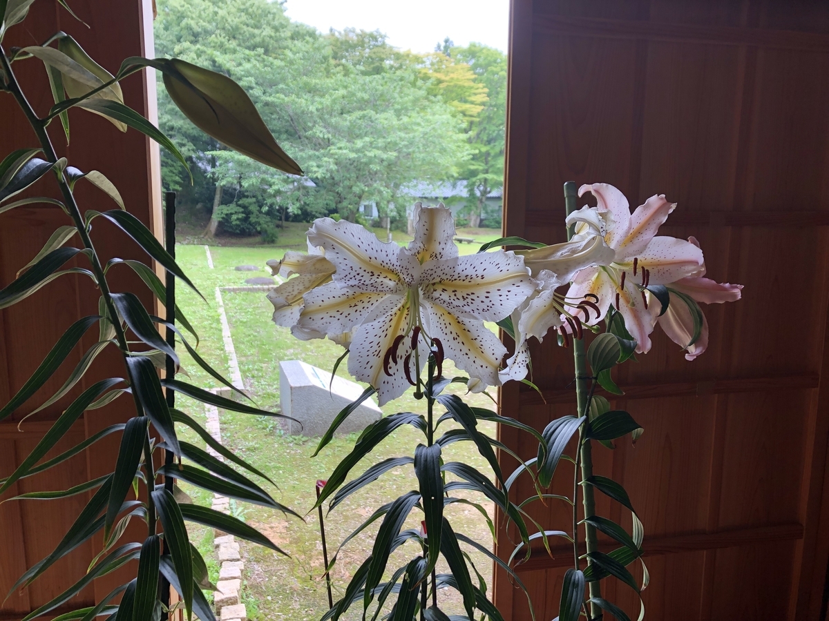 f:id:yamanouta:20190717144731j:plain
