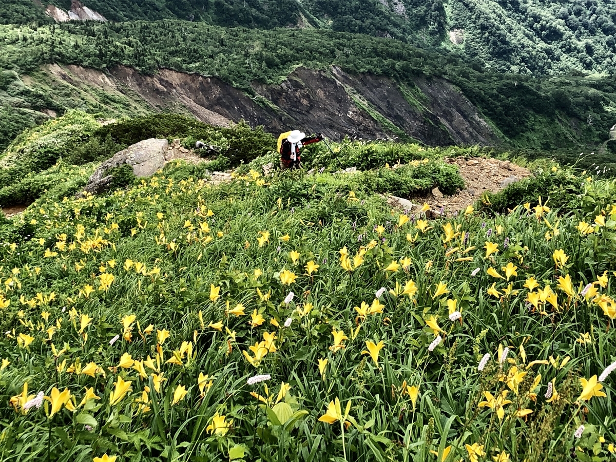 f:id:yamanouta:20190726105345j:plain f:id:yamanouta:20190726105345j:plain