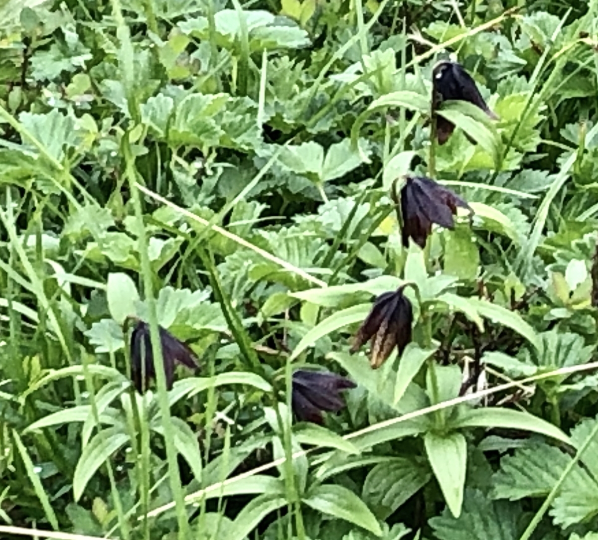 f:id:yamanouta:20190726120336j:plain f:id:yamanouta:20190726120336j:plain