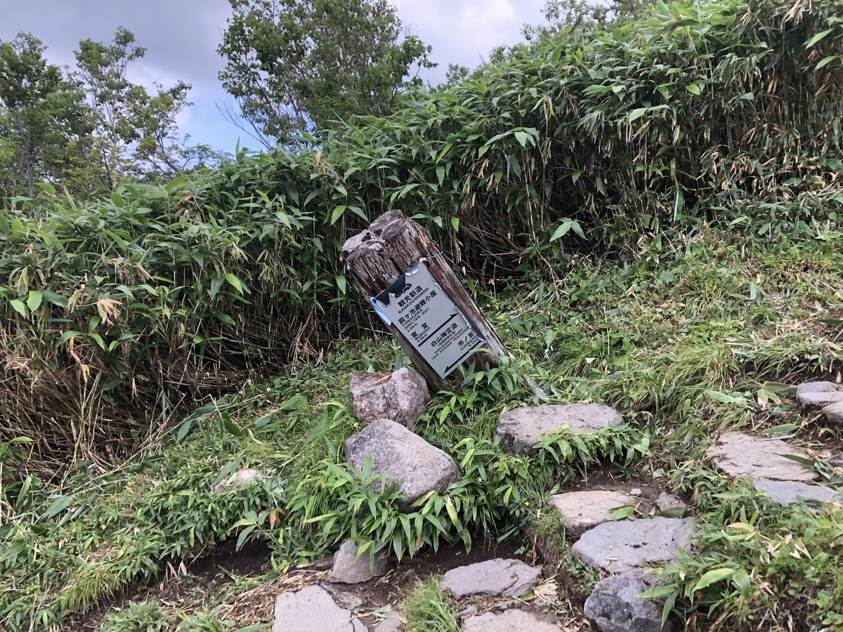 f:id:yamanouta:20190727141329j:plain f:id:yamanouta:20190727141329j:plain