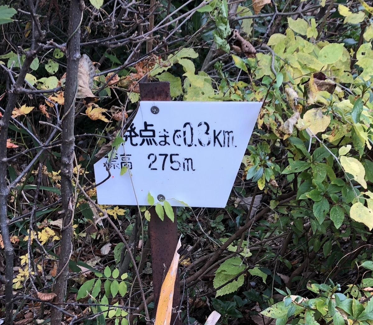 f:id:yamanouta:20191124112005j:plain f:id:yamanouta:20191124112005j:plain